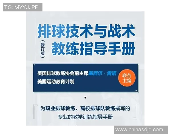 深圳排球队的排球战术解析与节奏体系的深度剖析